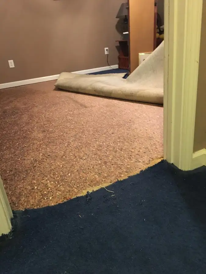 Carpet pad removal revealing water damage during Drying & Dehumidification in Hilltown