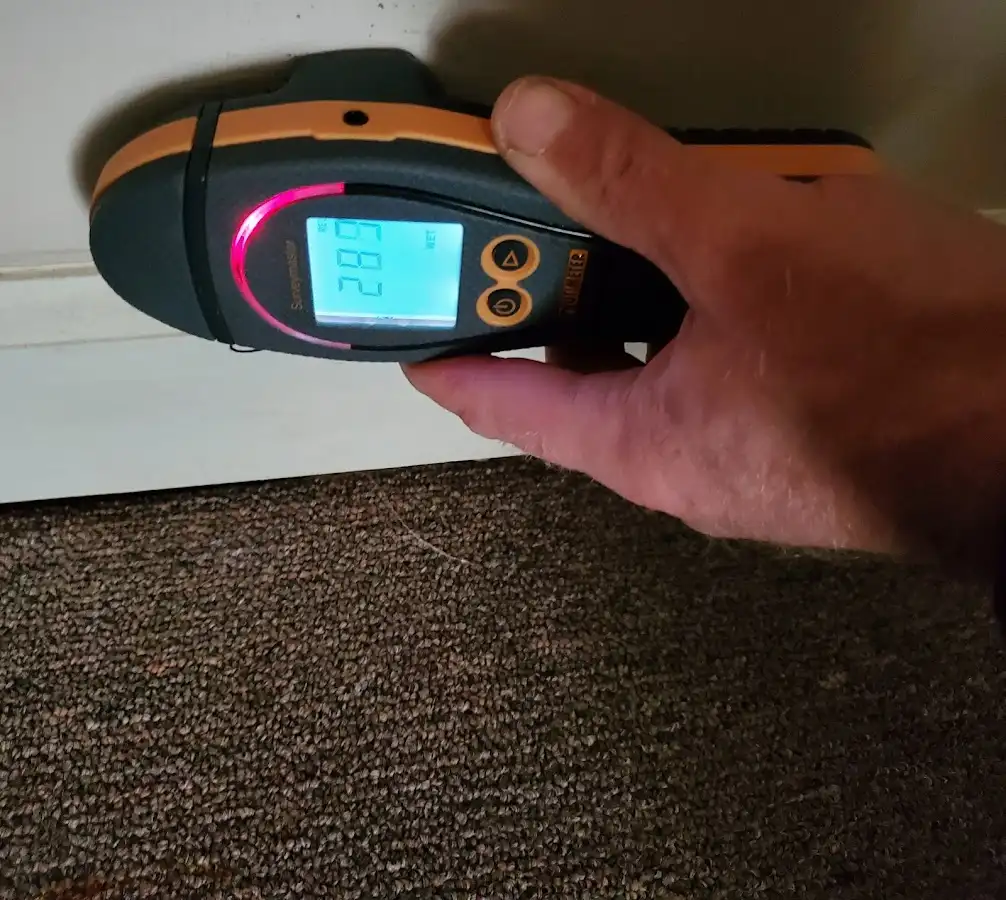 Moisture detection at baseboard during Mold Inspection & Testing in Hilltown